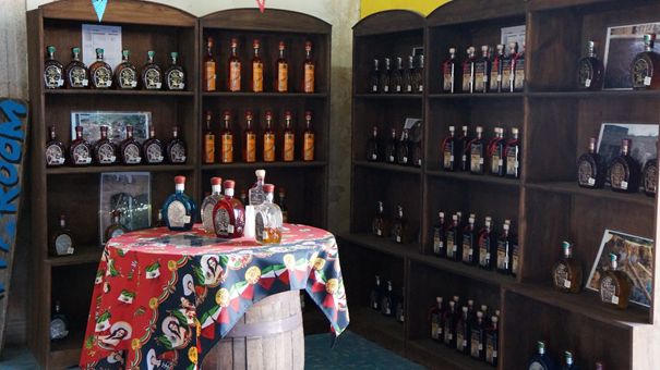 Muzeum tequili Muzeum tequili